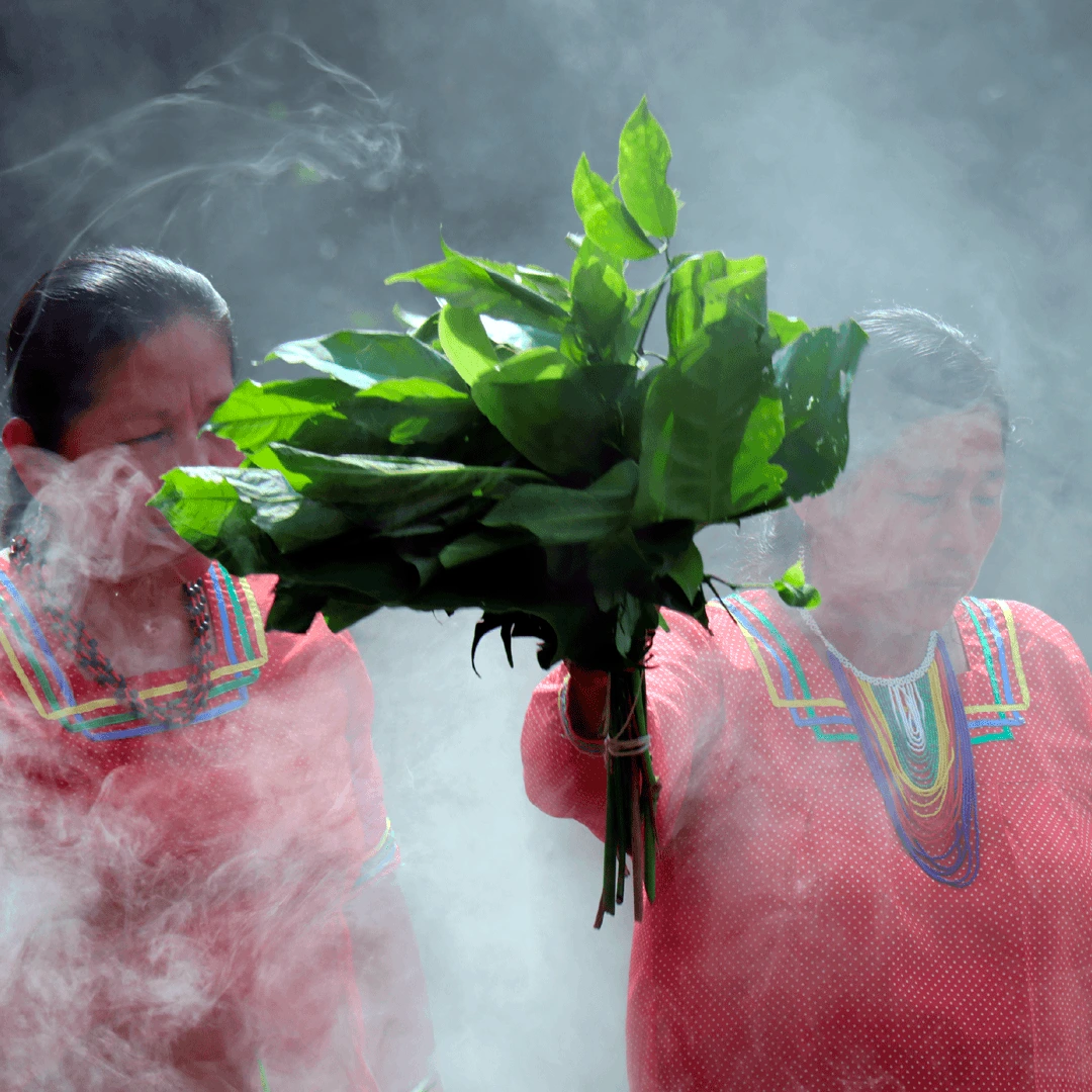 Mecanismos de protección de los conocimientos tradicionales 